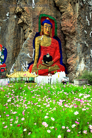 buddha-n-pink-flowers-05.jpg