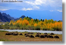 asia, barley, foliage, horizontal, lakes, landscapes, lhasa, mountains, nature, stacks, tibet, trees, water, photograph