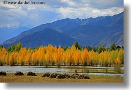 asia, barley, foliage, horizontal, lakes, landscapes, lhasa, mountains, nature, stacks, tibet, trees, water, photograph