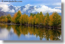 asia, fog, foliage, horizontal, lakes, landscapes, lhasa, mountains, nature, reflections, tibet, trees, water, photograph