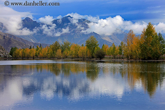 foliage-trees-reflection-n-fog-mtns-05.jpg