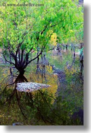 asia, lakes, landscapes, lhasa, nature, reflections, tibet, trees, vertical, water, photograph