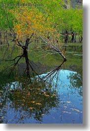 asia, lakes, landscapes, lhasa, nature, reflections, tibet, trees, vertical, water, photograph