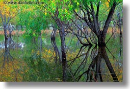 asia, horizontal, lakes, landscapes, lhasa, nature, reflections, tibet, trees, water, photograph