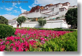 asia, flowers, horizontal, lhasa, palace, potala, tibet, photograph