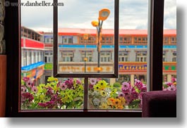 asia, buildings, horizontal, lhasa, plants, tibet, windows, photograph