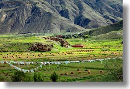 asia, fields, horizontal, prayer flags, scenics, tibet, yarlung valley, photograph