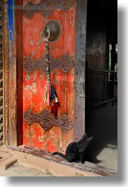 asia, asian, cats, doors, style, tibet, tsong sten gampo monastery, vertical, yarlung valley, photograph