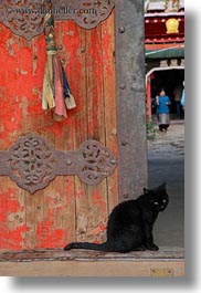 asia, asian, cats, doors, style, tibet, tsong sten gampo monastery, vertical, yarlung valley, photograph