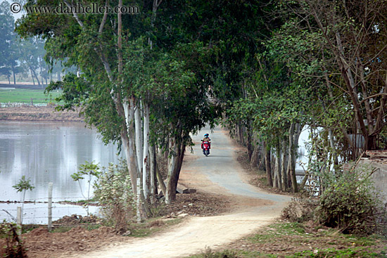 motorcycle-n-tree-tunnel.jpg