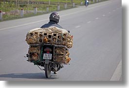 images/Asia/Vietnam/HaLongBay/Bikes/motorcycle-w-chickens-1.jpg