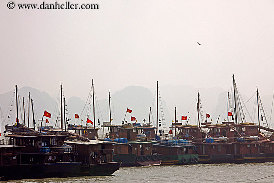 vietnamese-flags-n-boats-1.jpg