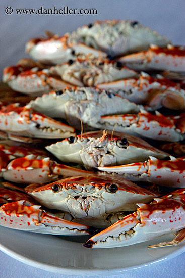 crabs-2.jpg