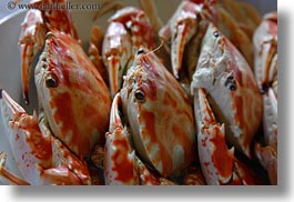 asia, boats, crabs, ha long bay, horizontal, victory ship, vietnam, photograph