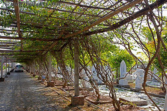 covered-driveway.jpg