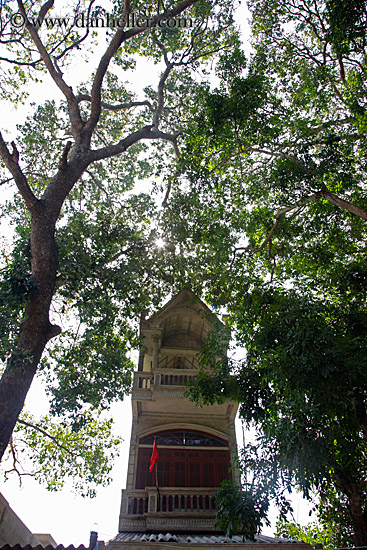 tall-thin-bldg-n-trees.jpg