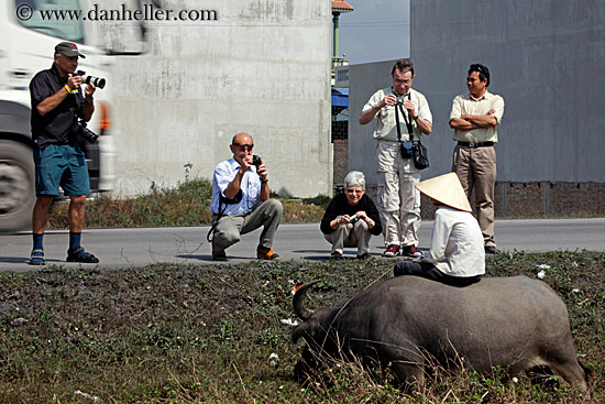 photographers-n-boy-on-waterbuffolo-2.jpg