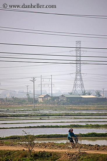 bikes-n-rice-fields-n-telephone-wires-2.jpg