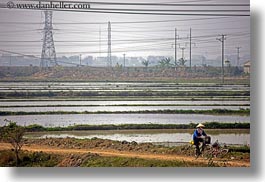 images/Asia/Vietnam/HaLongBay/RiceFields/bikes-n-rice-fields-n-telephone-wires-4.jpg