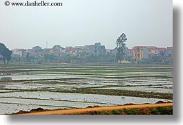 asia, fields, ha long bay, hazy, horizontal, rice, rice fields, vietnam, photograph