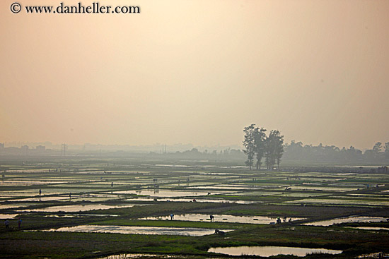 hazy-rice-fields-03.jpg