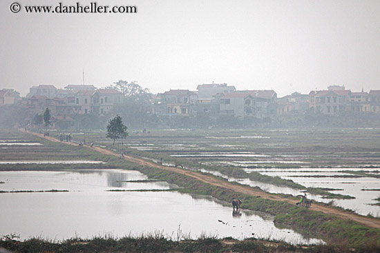 hazy-rice-fields-08.jpg