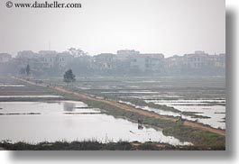asia, fields, ha long bay, hazy, horizontal, rice, rice fields, vietnam, photograph