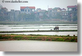 asia, fields, ha long bay, hazy, horizontal, rice, rice fields, vietnam, photograph