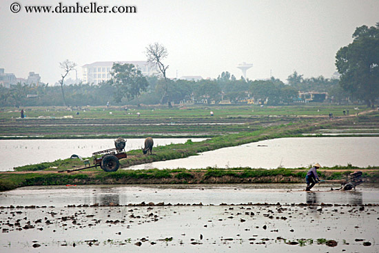 hazy-rice-fields-10.jpg