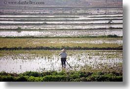 images/Asia/Vietnam/HaLongBay/RiceFields/rice-fields-workers-3.jpg
