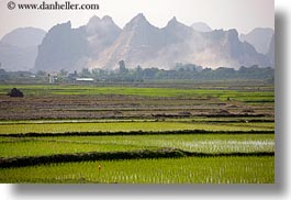 images/Asia/Vietnam/HaLongBay/RiceFields/rice-fields-workers-n-mtn-3.jpg
