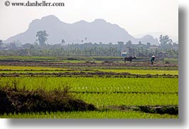 images/Asia/Vietnam/HaLongBay/RiceFields/rice-fields-workers-n-mtn-5.jpg
