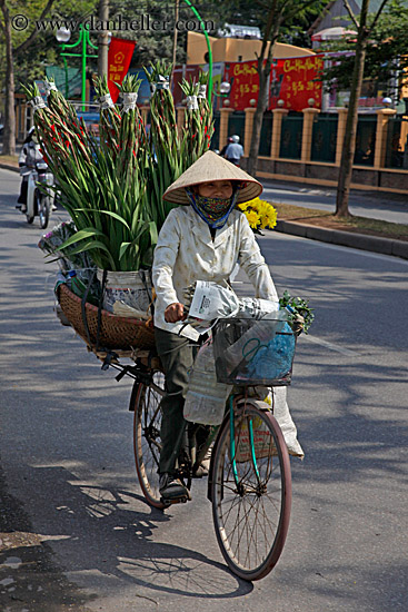misc-flower-bike-5.jpg