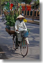 images/Asia/Vietnam/Hanoi/Bikes/Flowers/misc-flower-bike-5.jpg