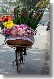 asia, bicycles, bikes, flowers, hanoi, vertical, vietnam, photograph