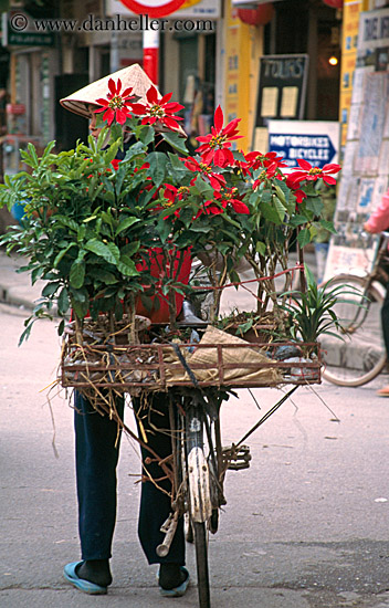 misc-flower-bike-9.jpg