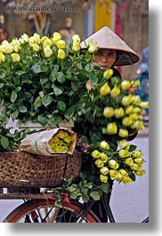 asia, bicycles, bikes, flowers, hanoi, vertical, vietnam, yellow, photograph