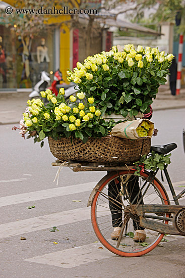 yellow-flower-bike-2.jpg