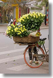 asia, bicycles, bikes, flowers, hanoi, vertical, vietnam, yellow, photograph