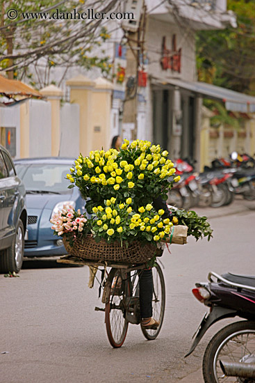 yellow-flower-bike-4.jpg