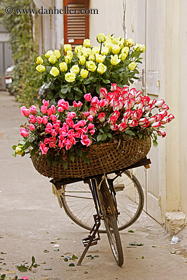 yellow-n-pink-flower-bike-1.jpg