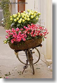 images/Asia/Vietnam/Hanoi/Bikes/Flowers/yellow-n-pink-flower-bike-1.jpg