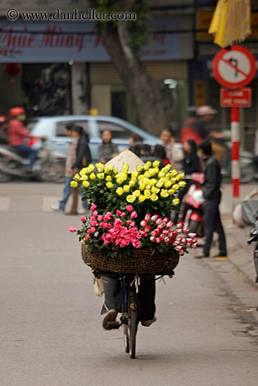 yellow-n-pink-flower-bike-3.jpg
