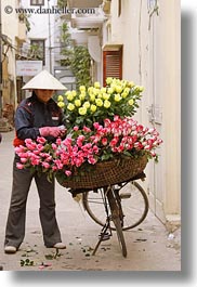 images/Asia/Vietnam/Hanoi/Bikes/Flowers/yellow-n-pink-flower-vendor-2.jpg