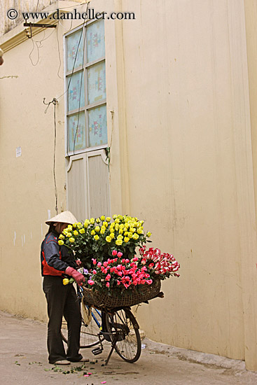yellow-n-pink-flower-vendor-5.jpg