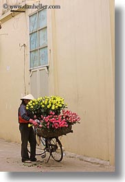 images/Asia/Vietnam/Hanoi/Bikes/Flowers/yellow-n-pink-flower-vendor-5.jpg