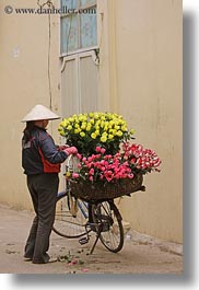 asia, bikes, flowers, hanoi, pink, vendors, vertical, vietnam, yellow, photograph