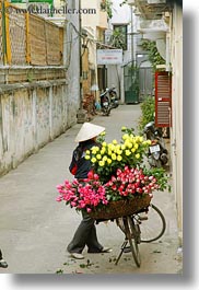 asia, bikes, flowers, hanoi, pink, vendors, vertical, vietnam, yellow, photograph