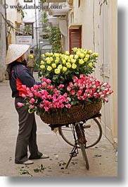 images/Asia/Vietnam/Hanoi/Bikes/Flowers/yellow-n-pink-flower-vendor-8.jpg