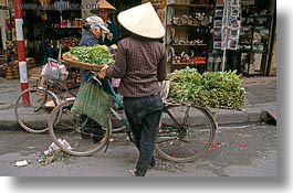 images/Asia/Vietnam/Hanoi/Bikes/Fruit/food-on-bike-01.jpg